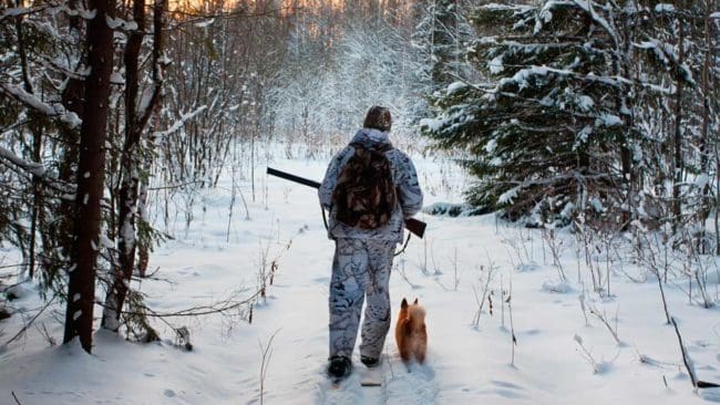 Djurens Rätt vill att djurrätts- och djurskyddsorganisationer ska ha talerätt i jaktfrågor.