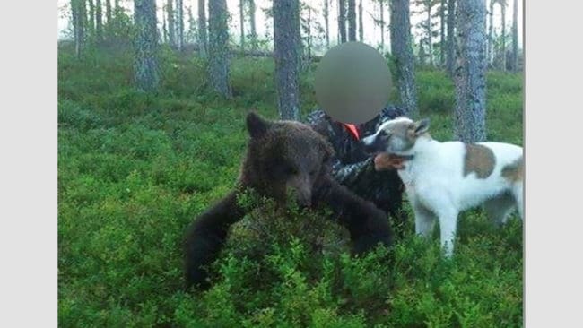 Huvudmannen har bland annat poserat på bild med en illegalt dödad björn.