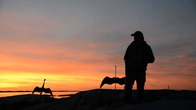 I säsongens första avsnitt av Jaktlust får vi följa med på skarvjakt på västkusten.