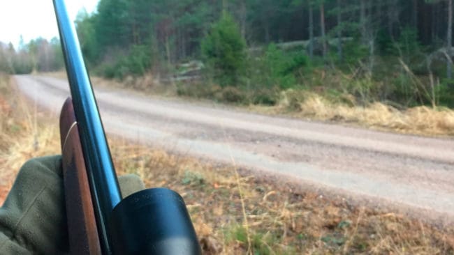 En jaktresa till Polen ses som muta även av hovrätten. (Arkivbild)