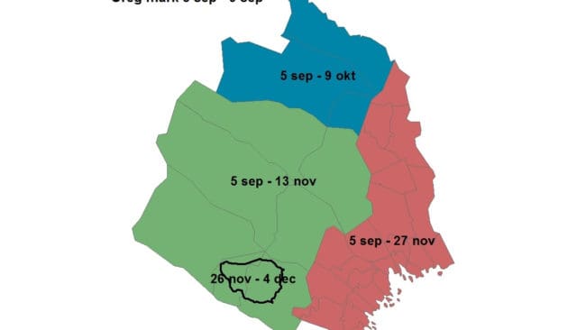 Jakten öppnas upp i delar av Arvidsjaurs och Arjeplogs kommuner för att få bukt med betesskador.