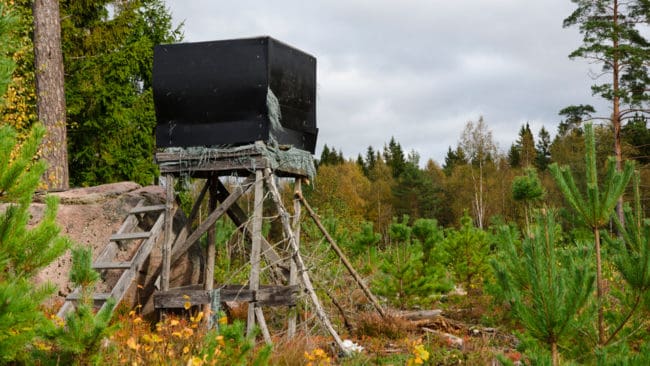 Omarrondering i Älvdalens kommun kommer inte att påverka jakten.