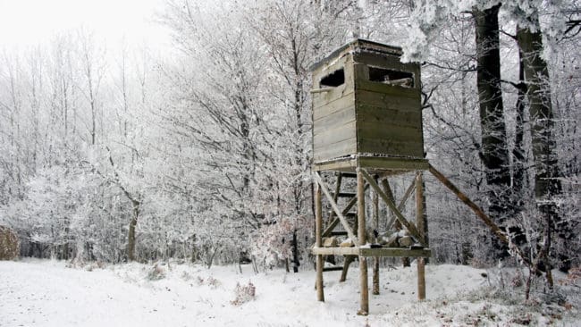 Jägarna i Österrike genererar värden för cirka 7,3 miljarder kronor årligen. Motsvarande beräkning för jakten i Sverige är cirka 4,5 miljarder per år.
