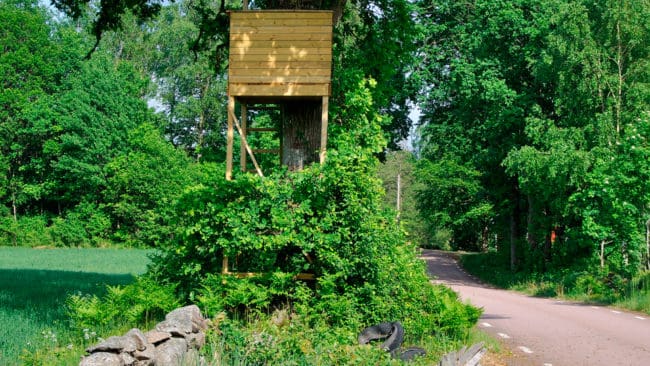 Drömmen om att kunna sitta i ett jakttorn i Häglinge i Skåne slutade med att en 20-åring polisanmält en 35-åring för bedrägeri om jaktarrende. Det finns fler liknande fall i Skåne. (Arkivbild)