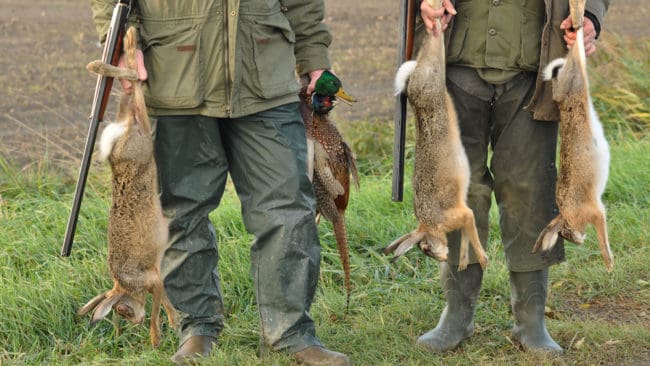 Ska utredas. Regeringen tills&auml;tter en utredning som ska se &ouml;ver jaktlagstiftningen.