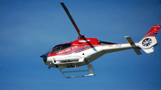 Först när de tre jakthundarna backade undan sedan helikoptern gått ner på ännu lägre höjd blev det skottläge för en grovhagelsalva. Därmed var den första av de tre vargarna hos Tåssåsens sameby avlivad. (Arkivbild)