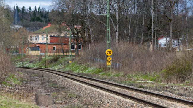 Den tågdödade vargen var minst ett år gammal.