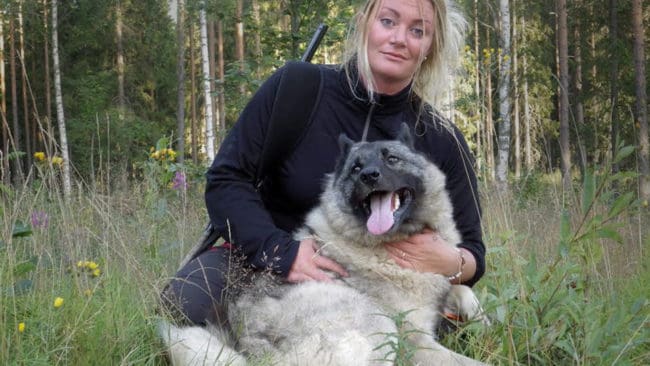 Jessica Dolk rapporter i Jakt & Jägare på webben från björnjakten i Hälsingland.