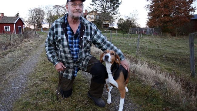 Stövaren Arja är fortfarande skärrad när Jakt & Jägare hälsar på hos henne och husse Kaj Hagemo.