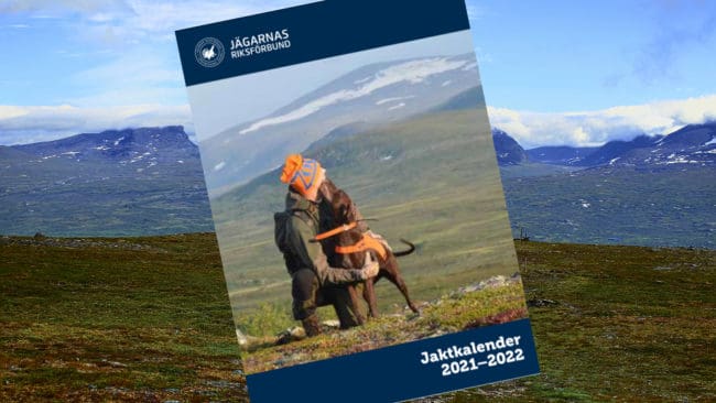 JRF-medlemmar kan kostnadsfritt beställa sitt exemplar av jaktalmanackan genom att mejla eller ringa till kansliet.