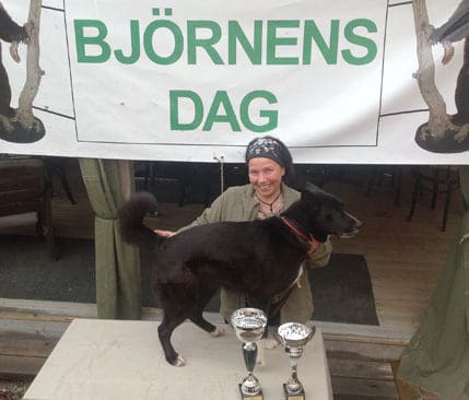Karelaren Ronja fick h&ouml;gsta po&auml;ngen vid bj&ouml;rntester i H&auml;lsingland i helgen. Matte Eva Rova var mycket glad.