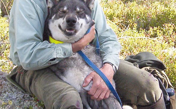 Grunderna f&ouml;r h&auml;ktning verkar v&auml;ldigt l&ouml;sliga och kan drabba vem som helst som befinner sig i ett vargrevir eller &aring;ker skoter d&auml;r. V&auml;ldigt lite, om n&aring;got, talar f&ouml;r att de misst&auml;nkta i Lillh&auml;rdalfallet &auml;r skyldiga, skriver Karl Hedin i ett debattinl&auml;gg.