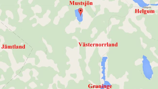Edselehannen och tiken han slagit sig ihop med sköts i trakterna av Mustsjön.