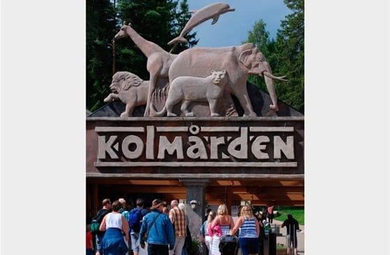 Rättegången om den vargdödade djurskötaren beräknas pågå i tio dagar, Åklagaren vill att bolaget och förre zoologiske chefen vid Kolmårdens djurpark döms som anvariga.