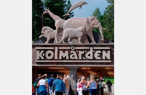 Kammaråklagare Jan Olof Andersson yrkar på att Kolmårdens djurpark ska betala fyra miljoner kronor i böter i fallet där en djurskötare dödades av vargar i hägn.