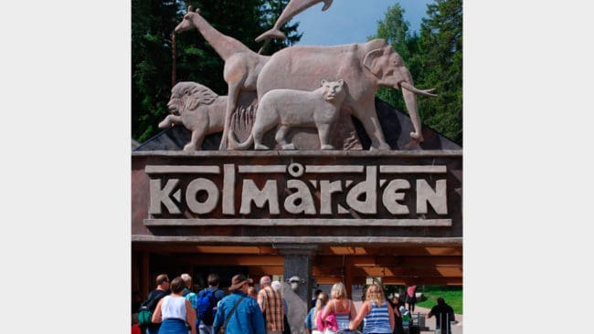 Trots att det snart gått tre år sedan som en djurskötare dödades av Kolmårdens vargar är utredningen inte klar.