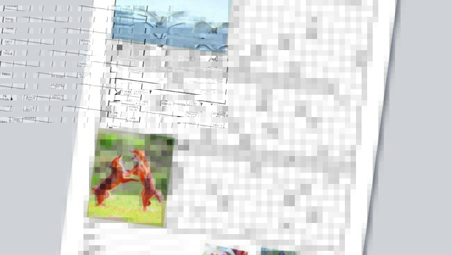 Ett tekniskt fel gjorde att den översta bilden i korsordet i Jakt & Jägare nr 5 täckte några rutor intill. Här finns en pdf att ladda ner så att du kan lösa krysset.