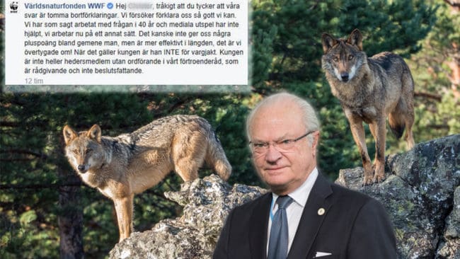 WWF:s facebookmoderator påstod att kungen ändrat uppfattning om vargjakten. Påståendet raderades när WWF:s informationsavdelning fick vetskap om det.
