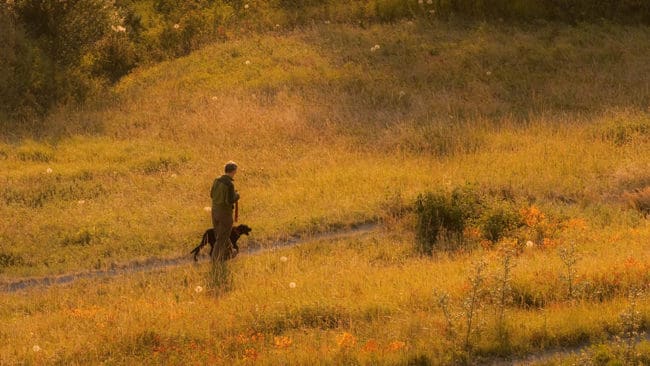 Den jägare som hotade en kvinna med hundar vid en skogsväg i Norrbotten i mitten av september åtalas nu för olaga hot.