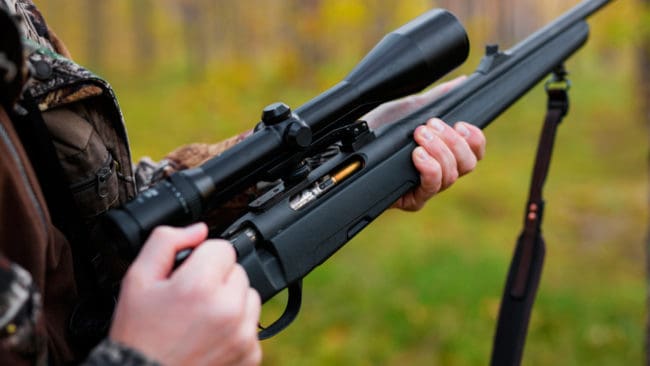 Utförsäljning av statsägd skog i Norge gör att norska jägare laddar för att jaktpendla till marker på den svenska sidan.