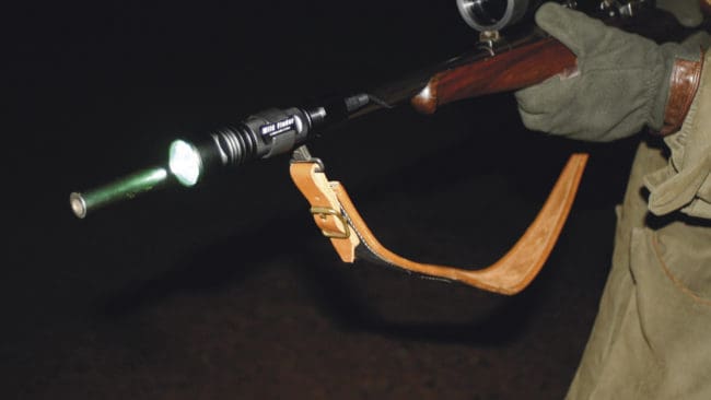 Miljöpartiet har överklagat skyddsjakten på Södertörnsvargen och vänder sig bland annat mot standardregeln att de som har skyddsjakt på varg får använda rörlig belysning.