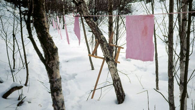 En 50-årig man i jakthärvan i Västmanland har häktats i sin frånvaro av Svea hovrätt, misstänkt för att ha använt ett förbjudet nervgift mot vargar. Det handlar även om illegal vargjakt med hjälp av lapptyg och att han ska ha ”undanskaffat” en illegalt skjuten varg. (Arkivbild på lapptyg.)