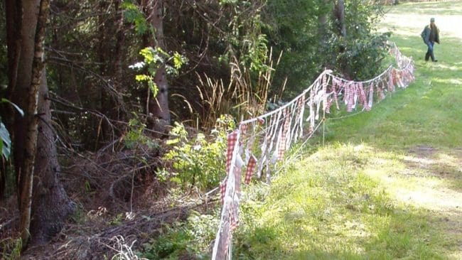 Två besiktningspersoner från länsstyrelsen hjälpte under torsdagsförmiddagen djurägaren att sätta upp bland annat lapptyg runt hagen där vargen angrep och dödade får. (arkivbild)