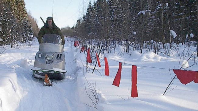 Lapptyg används vid vargjakt i Ryssland. Junilistan anser att Sverige bör samarbeta med bland annat Finland och Ryssland för att förvalta vargstammarna. Vargen är ingen hotad art, konstaterar Junilistan.