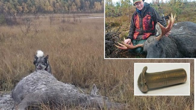 ”Jag vill att det djur jag fått möjlighet att fälla inte ska lida samt att det ska bli mat av fällt vilt och inte förstört kött. Dessutom vill jag inte utsätta min jobbande jakthund för en ökad risk i form av splitter från en kula”, skriver JRF-basen Solveig Larsson.