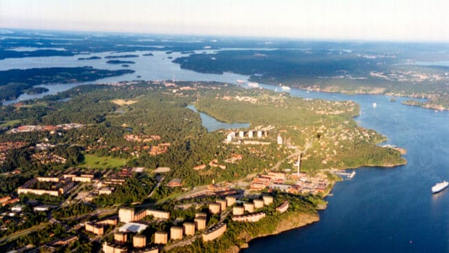 Vildsvin har simmat över till Lidingö, där de nu lever farligt när kommunjägare har fått i uppdrag att stoppa framfarten på bland annat villatomter.