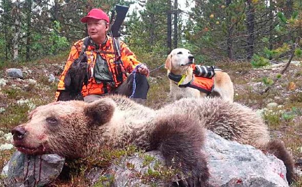 &ndash;&nbsp;Ett rimligt beslut om 60 bj&ouml;rnar i &aring;rets licensjakt i J&auml;mtlands l&auml;n, s&auml;ger Anders Lindkvist, chef f&ouml;r Holmen Skog i H&auml;rjedalen. P&aring; bilden med en bj&ouml;rn han sk&ouml;t f&ouml;rra &aring;ret.
