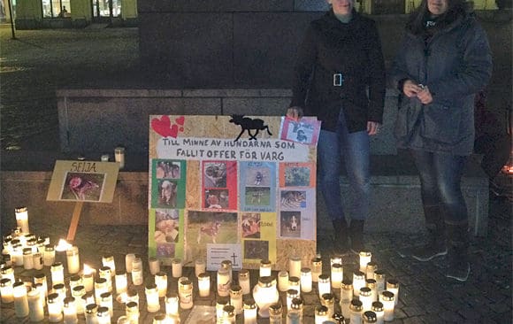 Ljus t&auml;ndes p&aring; Stora torget i Karlstad p&aring; onsdgskv&auml;llen f&ouml;r att hedra vargd&ouml;dade hundar.