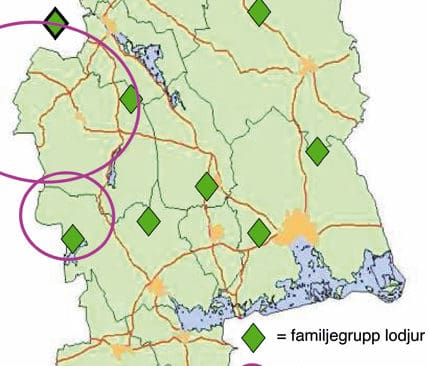 En vargtik, född 2005 i Uttersbergsreviret, har bildat ett nytt revir i Västmanland, norr om sitt hemrevir. När det gäller lodjur upptäcktes 9-13 familjegrupper under vinterns inventeringar.