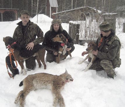 Jimmy Olsson med den duktiga blandstövaren Boss, Daniel Magnusson med ungstövaren Zeta och Hans-Erik Lovars med ungstövaren Lexi. Bägge unghundarna har samma föräldrar som Boss, men i en senare kull.