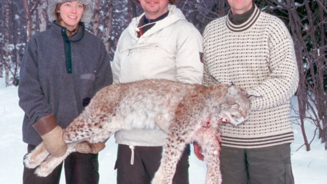 75 lodjur får fällas i lojakten som börjar den första mars. Det är långt under vad både jägarorganisationerna och två länsstyrelser begärt.
