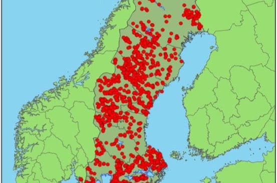 Sverigekartan blir allt r&ouml;dare av loobservationer. Samtidigt s&auml;ger inventeringsresultaten att lostammen minskat med n&auml;sta en tredjedel. N&aring;got &auml;r fel...