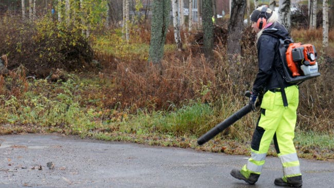 Malmös gatukontor kan även sätta lövblåsare i händerna på kommunens skyddsjägare för att skrämma ut minkar framför gevärsmynningen.
