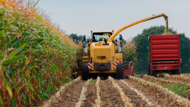 En ung hjortjägare i USA-delstaten Michigan dödades på lördagen av en majsskördare. Det tros att han hade somnat på sitt pass när maskinen kom. (Arkivbild)