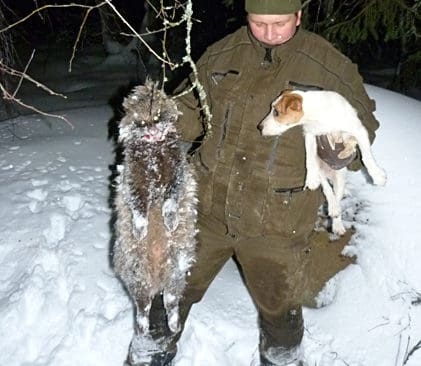 Jan Erik Innala med den skjutna m&aring;rdhunden och jack russell-terriern Ginza.