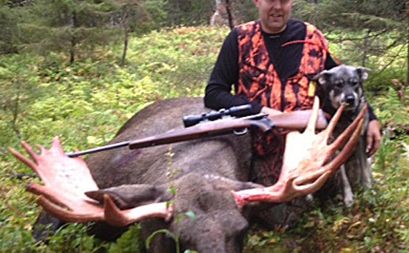 Storoxen. Med hj&auml;lp av j&auml;mttiken Gry lyckades Mikael Ahnstr&ouml;m f&auml;lla en 15-taggare p&aring; cirka 300 kilo.