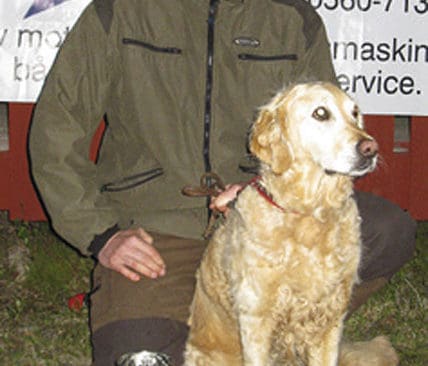 Golden retrievern Mira med Peter K&aring;geland var b&auml;st att sp&aring;ra vildsvin.