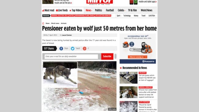 Tidningen Mirror uppger att en varg åt på en 77-årig rysk kvinna.