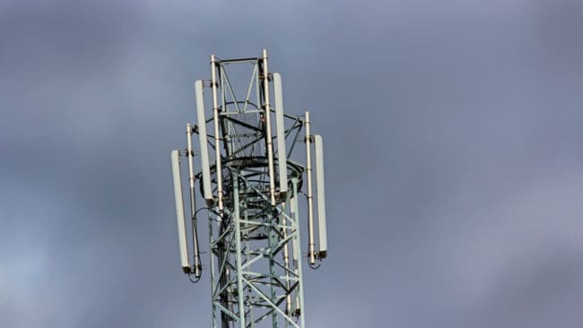 Det har tagit snart två år att få fram bland annat var de misstänkta i vargjaktshärvan i Hälsingland fanns uppkopplade mot olika mobilmaster. Nu väntar nya polisförhör om de misstänktas ”kommunikationer och rörelser”. Men det enda konkreta spåret i utredningen är vargblod på en sjöis. ”Det greppas efter halmstrån”, tycker advokaten Sven Severin.