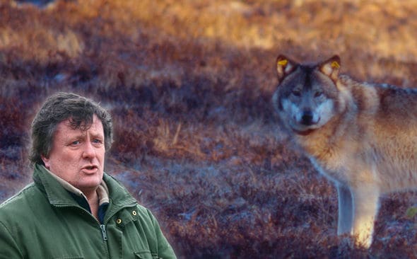 Det lilla som nu är kvar av Vargkommittén kan bli en bra gruppterapi för den vargfrälsta sidan. Nu kan de sitta och bearbeta alla upplevda oförrätter från de som kämpar för sin överlevnad på landsbygden, konstaterar Jakt & Jägares medarbetare Mikael Moilanen i en krönika.