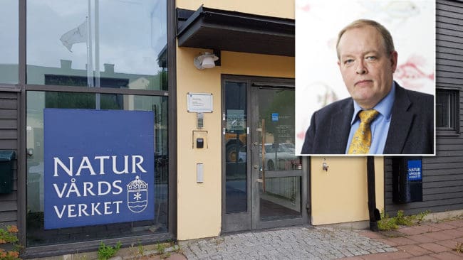 Björn Risinger sitter kvar som generaldirektör på Naturvårdsverket till och med den 31 oktober 2024.