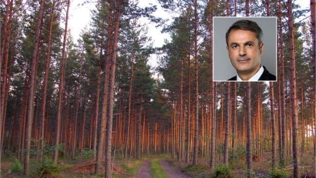 Det blir Ibrahim Baylans ansvar att söka politiska lösningar i skogsfrågan.