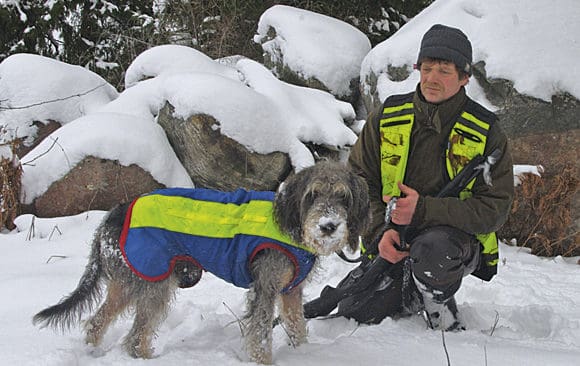 Tr&auml;stabos Hobbe, som tog f&ouml;rstapris i jaktprov p&aring; vildsvin med drivande hund. H&auml;r med husse Joacim Sundin.