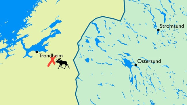 Älgen som var galna ko-sjuk hittades öster om Trondheim.