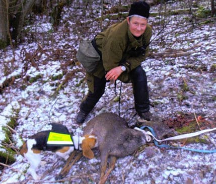 Sn&ouml;pligt slut. Maria Svensson fick ett r&aring;djur med sig hem efter drevprovet med beaglen Thelma.