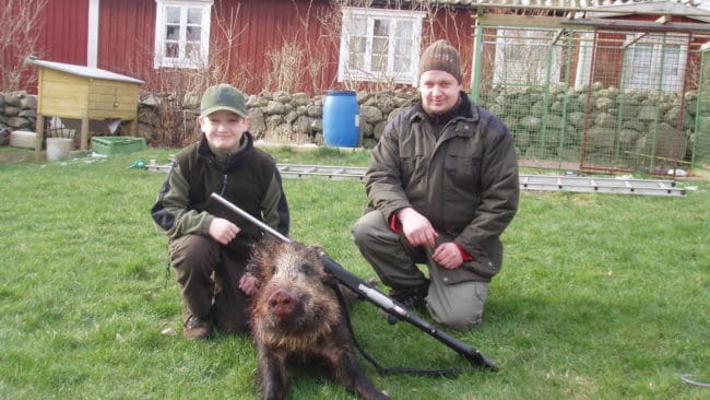 Far och son, Axel och Ola Johansson, med ett vildsvin de f&auml;llt. Axel &auml;r tolv &aring;r och &auml;r klar med sin j&auml;garexamen. &Auml;r det svensk rekord?